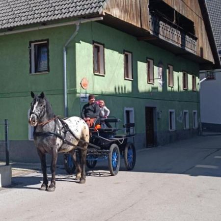 Sigma House Hostel Mojstrana Luaran gambar