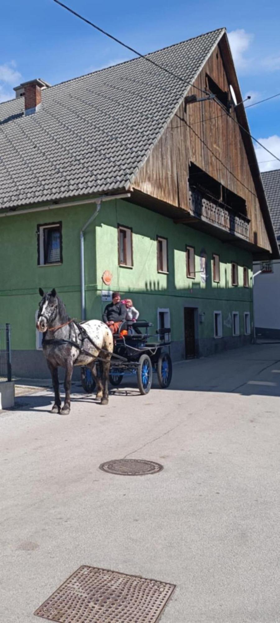 Sigma House Hostel Mojstrana Luaran gambar